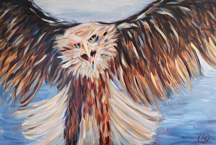 observation80x120